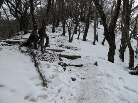 20160204hike (208)